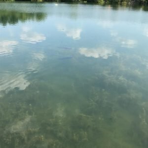 Hinckley Wharf CIC is a Community Interest Company dedicated to supporting, promoting, and safeguarding water-based community activities in Hinckley, Leicestershire. We bring together local clubs, charities, and volunteer groups who use the Ashby Canal and surrounding waterways as a base for education, recreation, and community wellbeing.