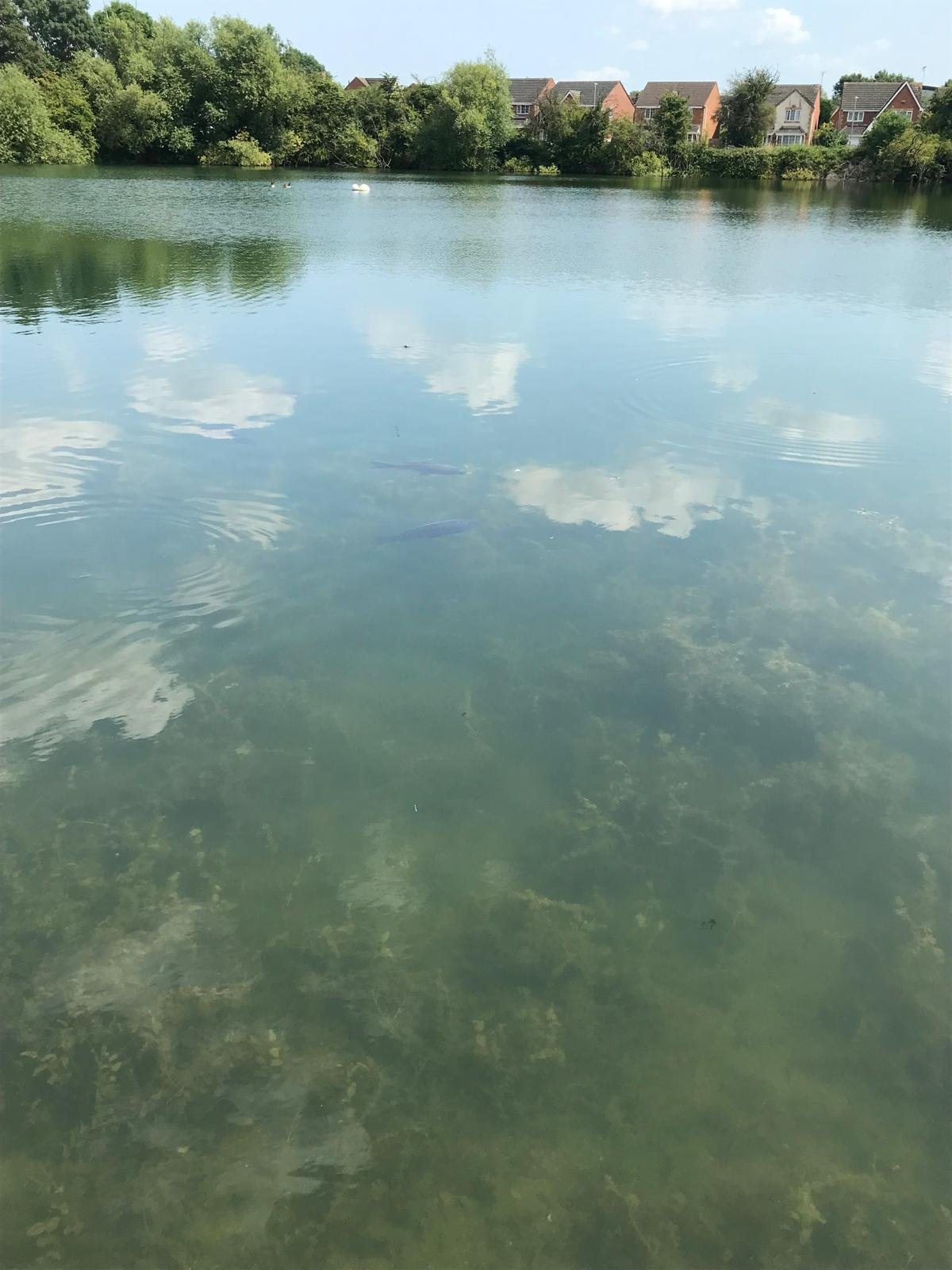 Hinckley Wharf CIC is a Community Interest Company dedicated to supporting, promoting, and safeguarding water-based community activities in Hinckley, Leicestershire. We bring together local clubs, charities, and volunteer groups who use the Ashby Canal and surrounding waterways as a base for education, recreation, and community wellbeing.